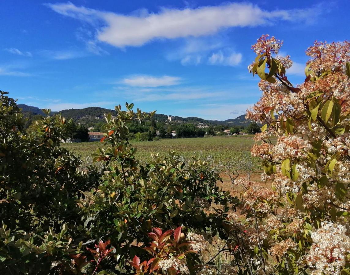 Au Villadior - Vaison La Romaine Ngoại thất bức ảnh